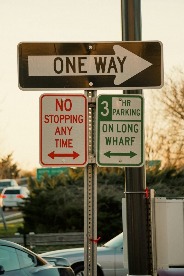 Stacked “No Parking + Bicycle” signs on one pole